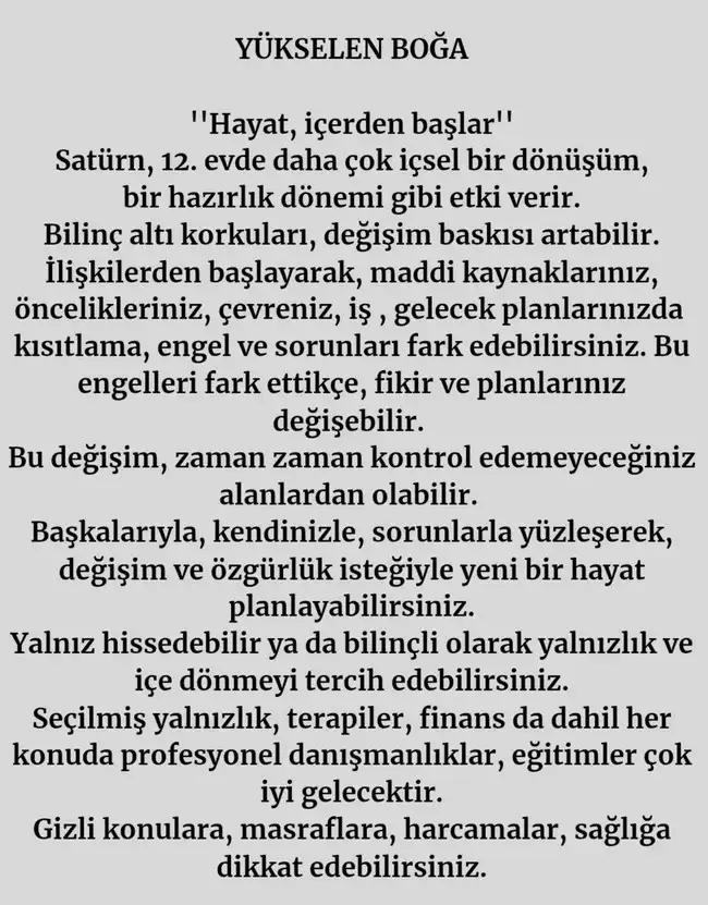 satkoç19 (3).webp