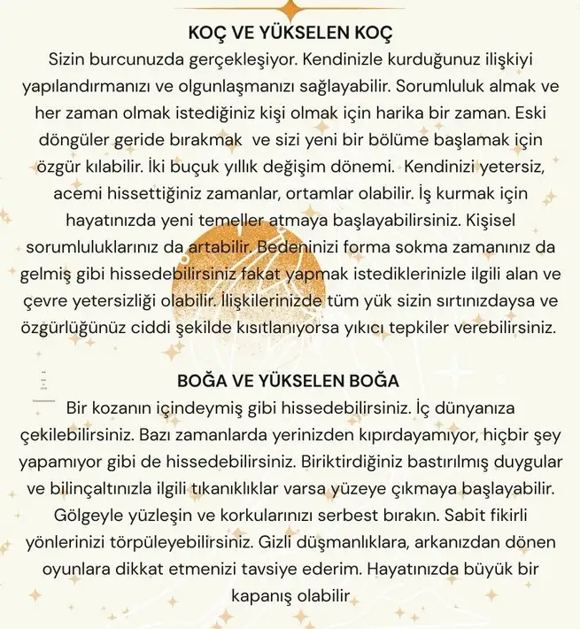 satkoç31 (4).webp