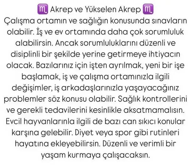 satkoç7 (4).webp