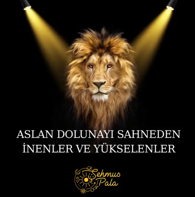 satnepkav (2) - Kopya.webp