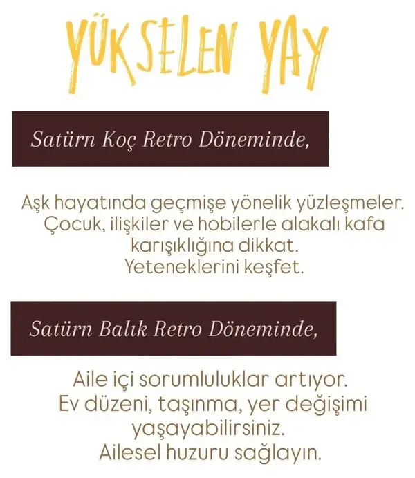 satret (10).webp