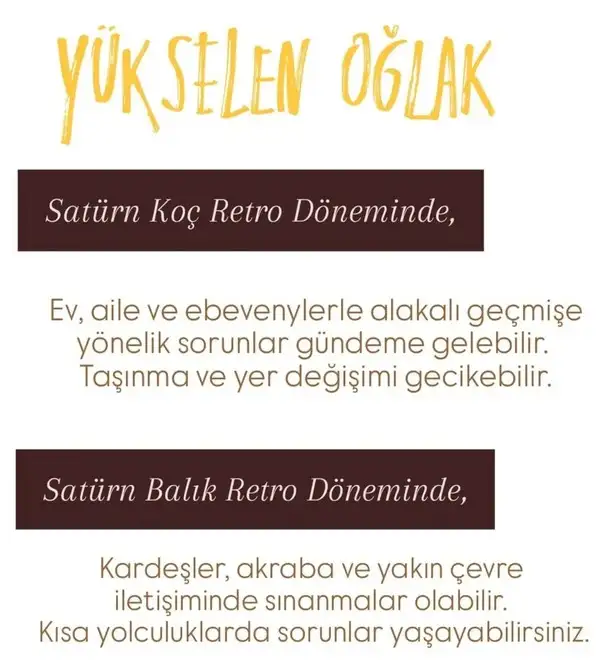 satret (11).webp