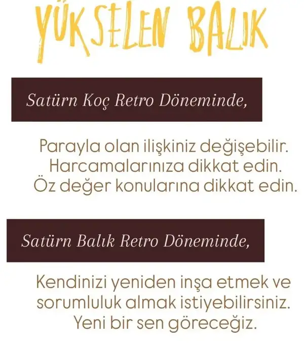 satret (13)z.webp