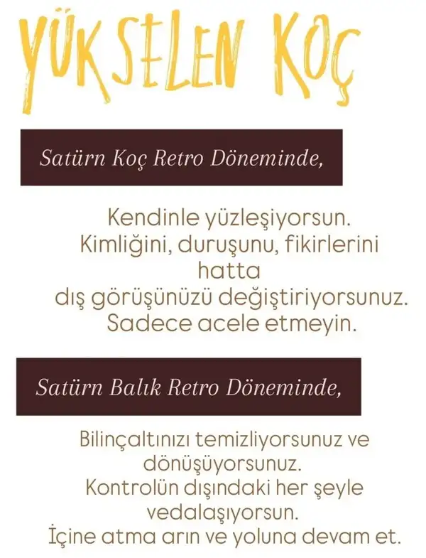 satret (2).webp