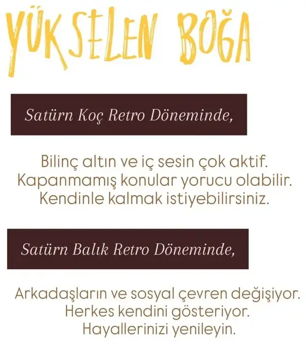 satret (3).webp