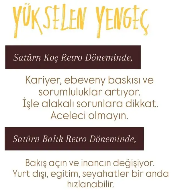 satret (5).webp