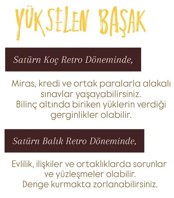 satret (7).webp