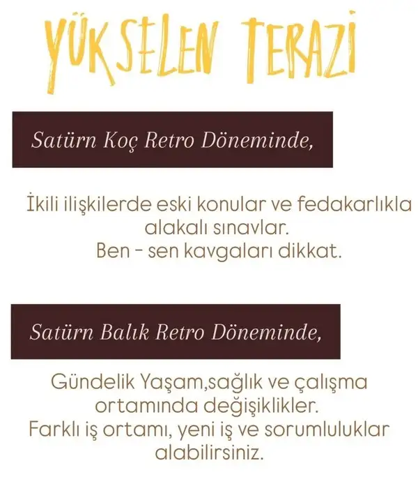 satret (8).webp