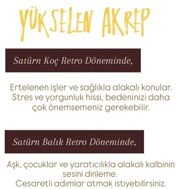 satret (9).webp