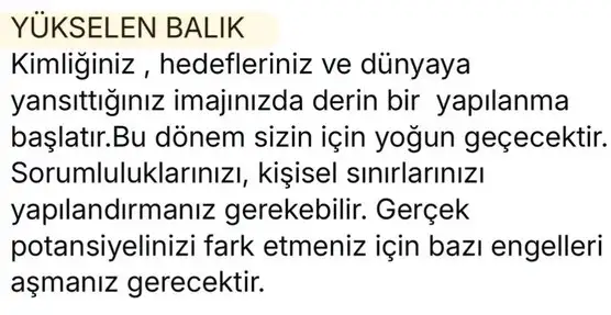 satret1 (13).webp