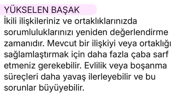 satret1 (7).webp