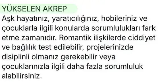 satret1 (9).webp