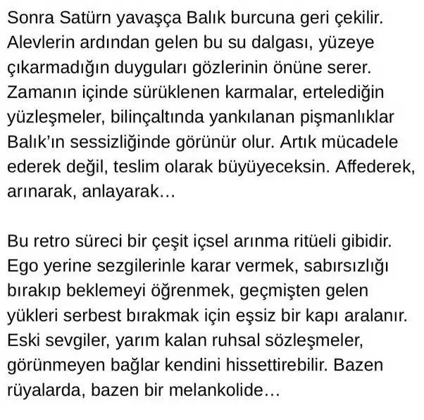 satret10 (2).webp