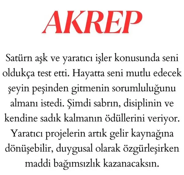 satret11 (9).webp