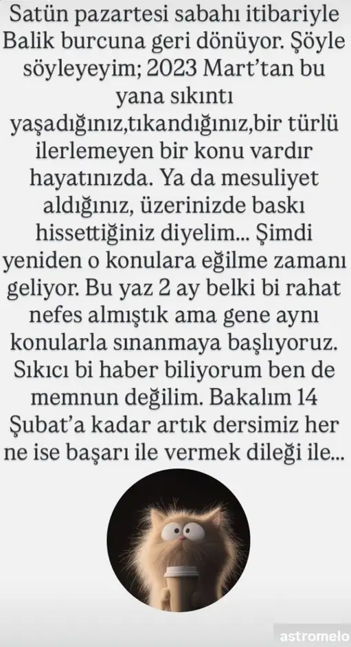 satret11.webp