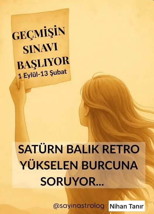 satret2 (1).webp