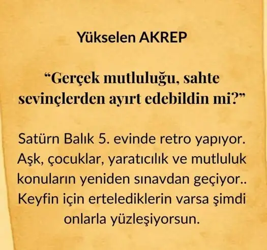 satret2 (10).webp