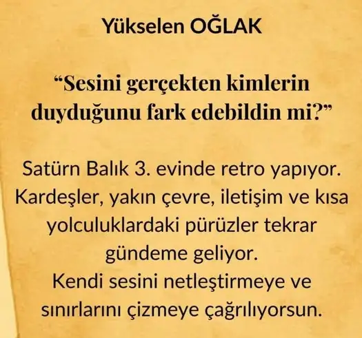 satret2 (12).webp