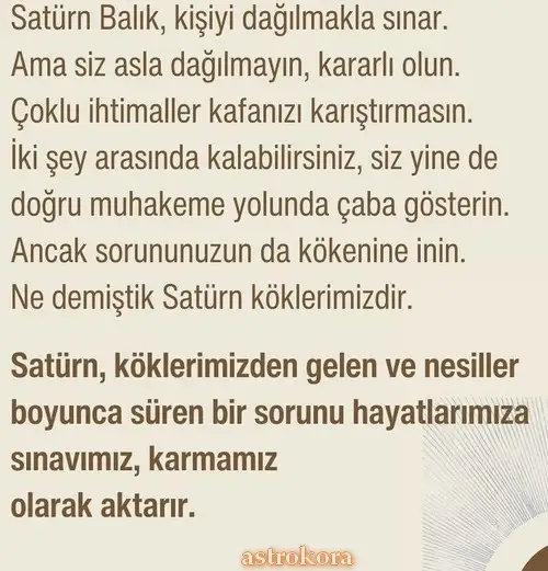 satret33.webp