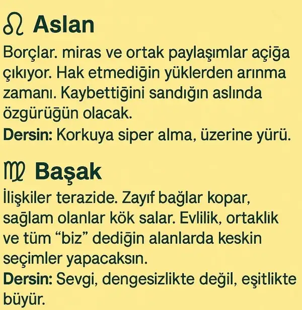 satret6 (4).webp