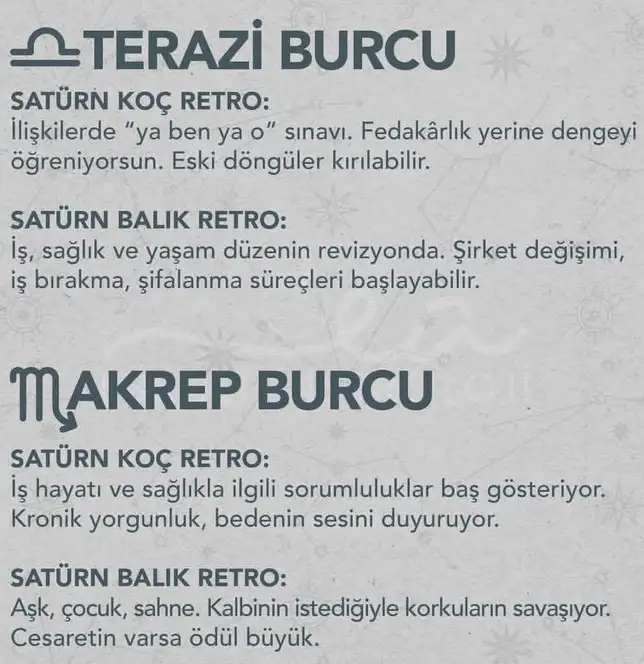 satret6 (5).webp
