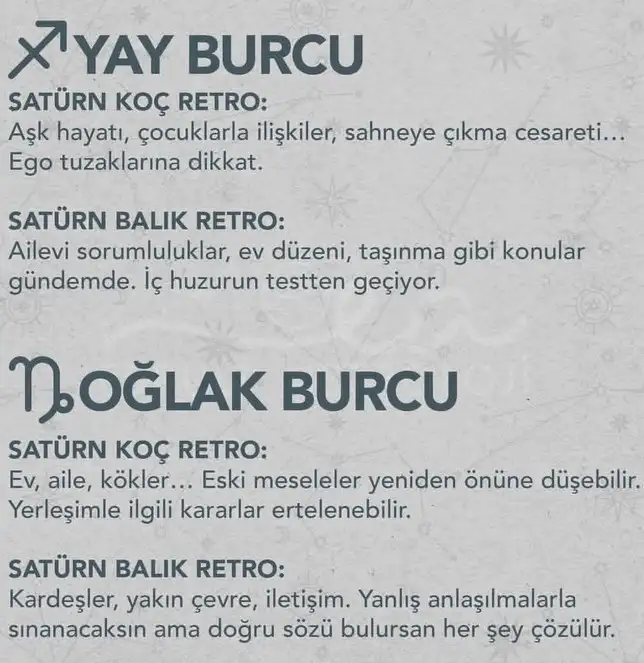 satret6 (6).webp