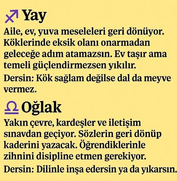 satret6 (6).webp