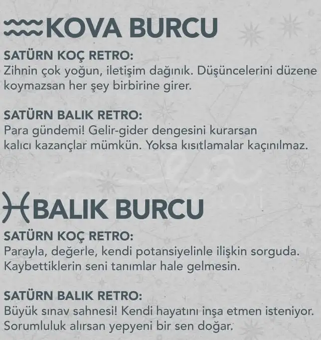 satret6 (7).webp