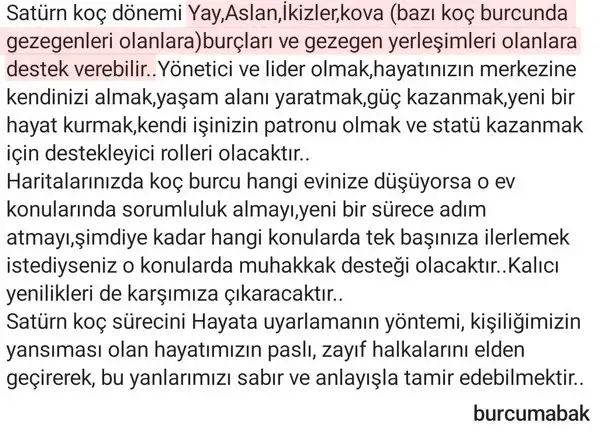satt koç (4).webp