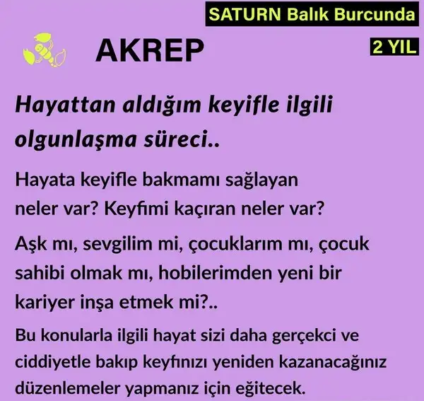 satürn11 (22).webp