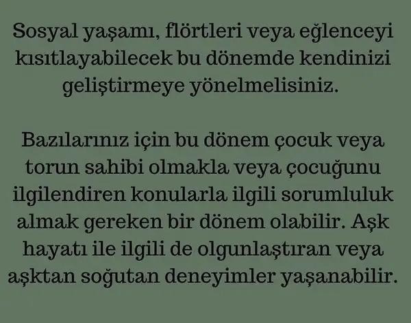 satürn13 (17).webp