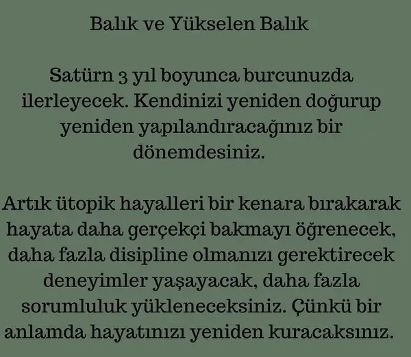 satürn13 (24).webp