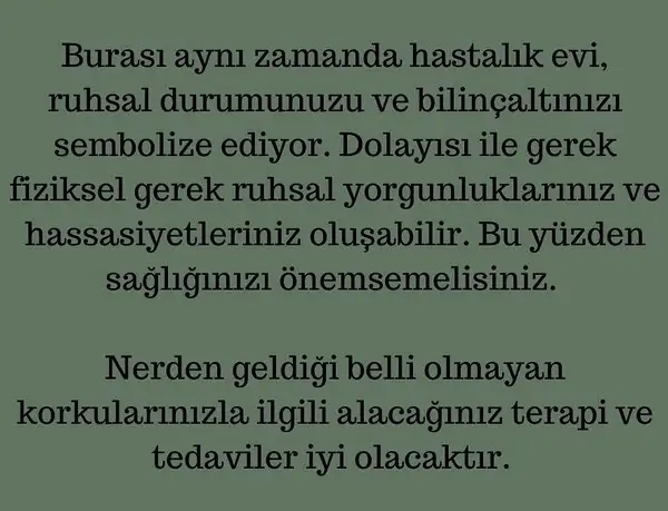 satürn13 (3).webp