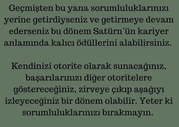 satürn13 (7).webp
