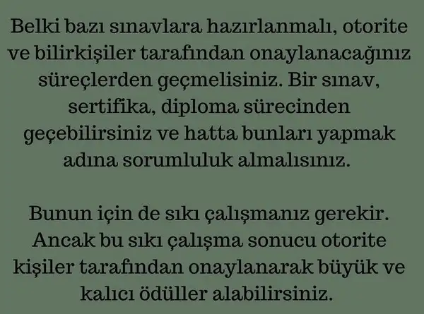 satürn13 (9).webp