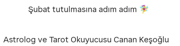 şbt tutu (4).webp