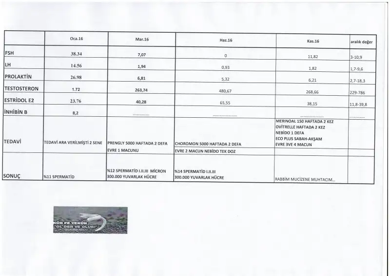Scan10004.webp