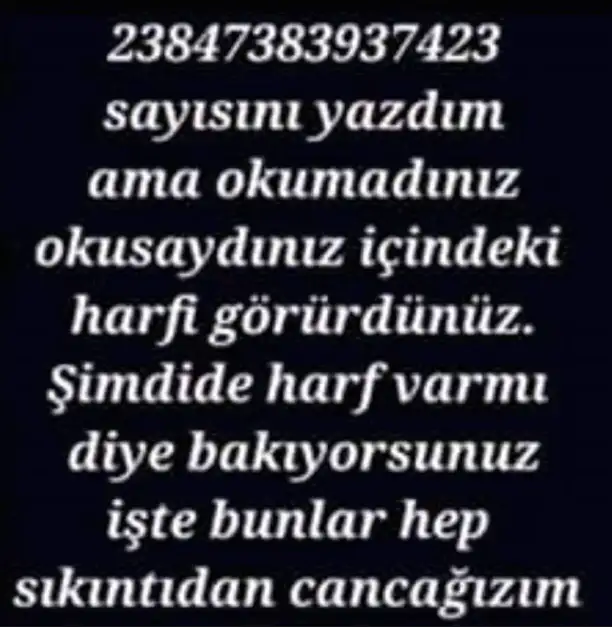 Screen Shot 05.04.2019 at 21.14.webp