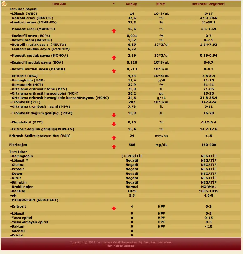 Screen Shot 2015-04-21 at 09.24.54.webp