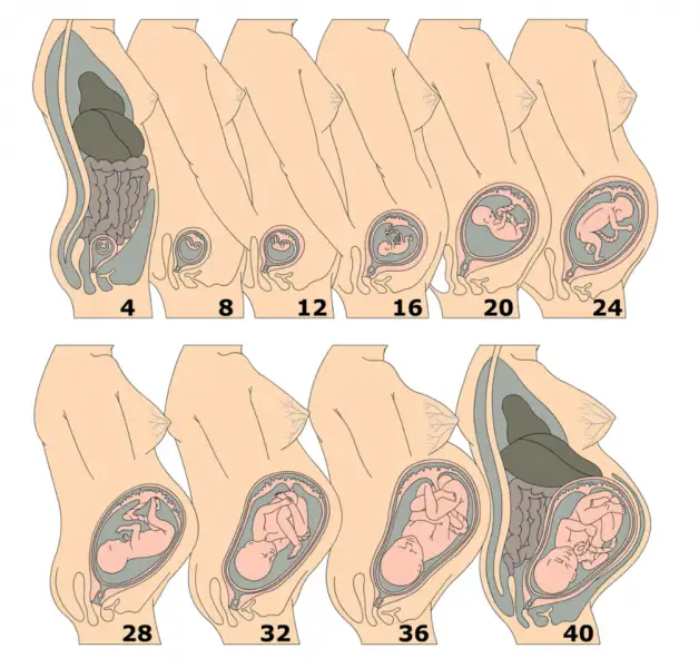 Screen Shot 2016-07-08 at 13.20.45.webp