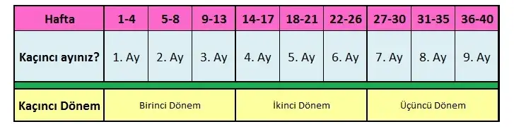 Screen Shot 2016-07-14 at 13.52.26.webp