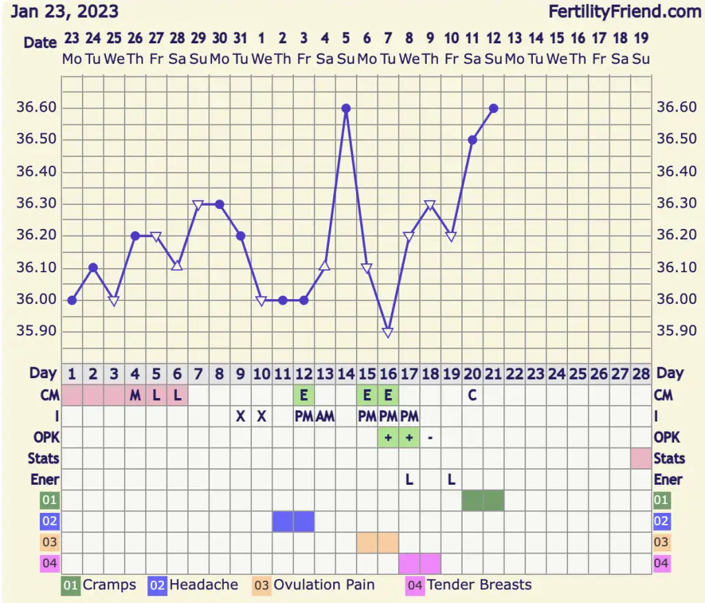 Screen Shot 2023-02-12 at 16.11.10 1.webp