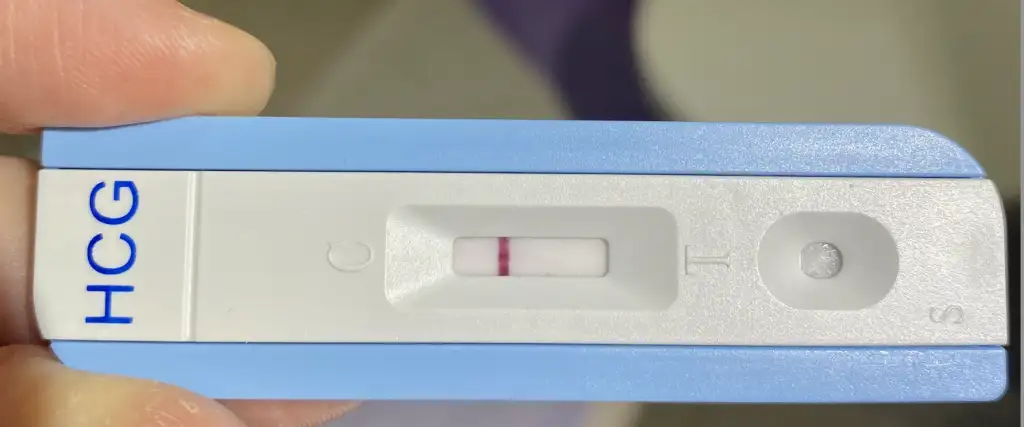 Screen Shot 2023-03-20 at 19.17.52.webp