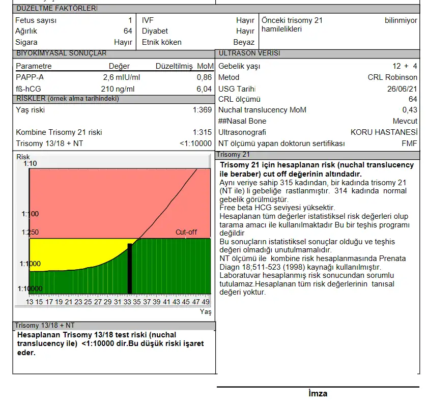 Screenshot.webp