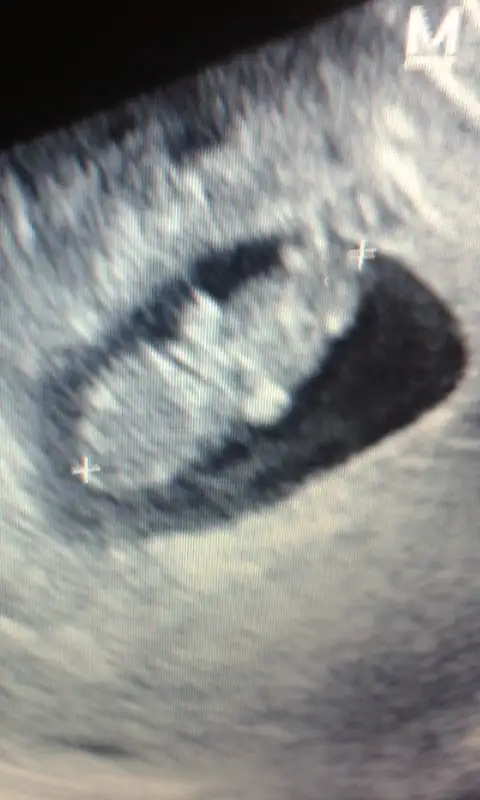 Screenshot_2014-08-21-00-47-35.webp
