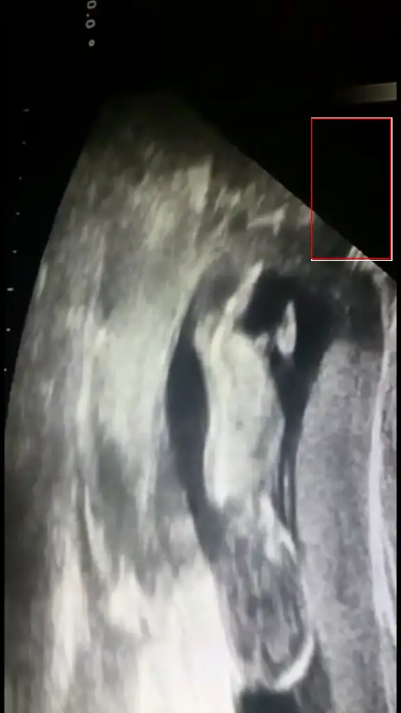 Screenshot_2015-02-04-01-23-19.webp