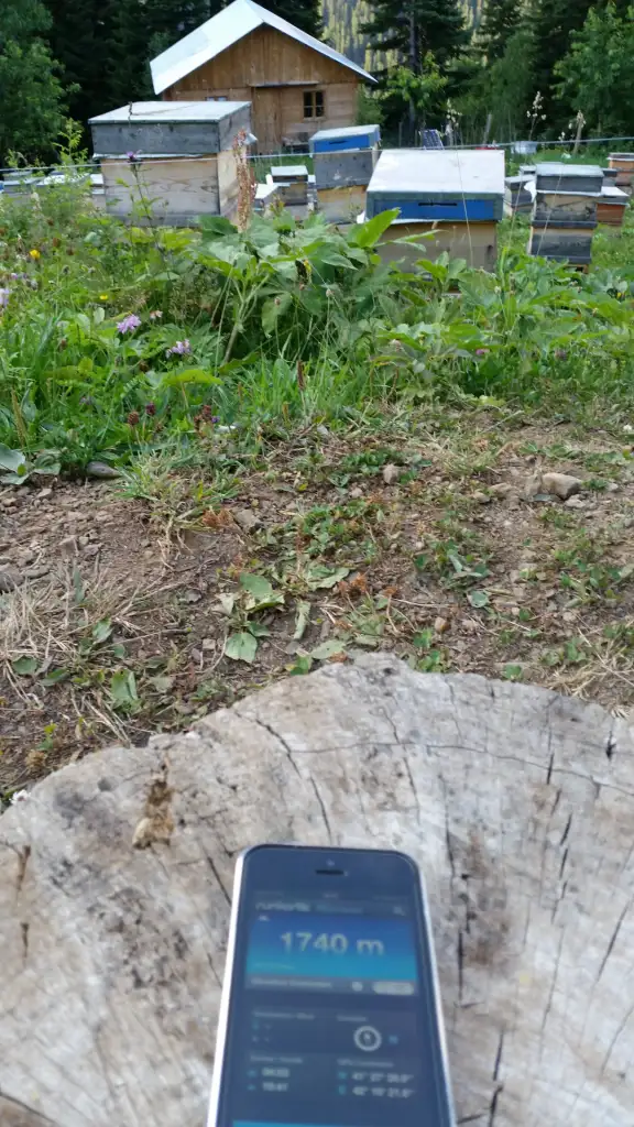 Screenshot_2015-08-17-23-52-55.webp