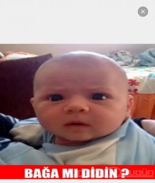 Screenshot_2016-01-21-19-05-01-1.webp