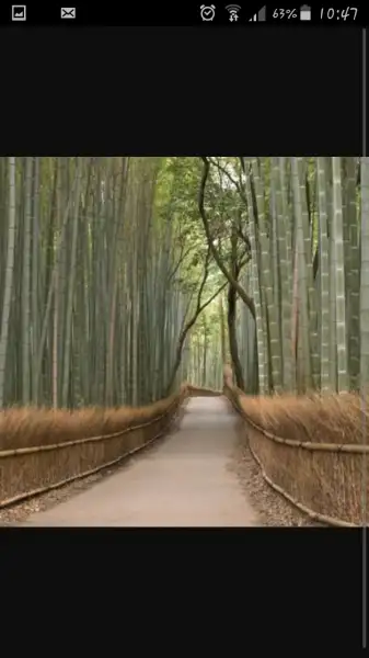 Screenshot_2016-02-19-10-47-35.webp