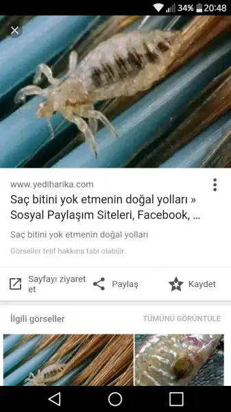 Screenshot_2016-11-19-20-48-22.webp